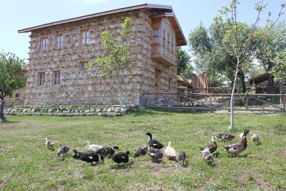 Yasayan Koy Hotel Kizilcasogut Zewnętrze zdjęcie