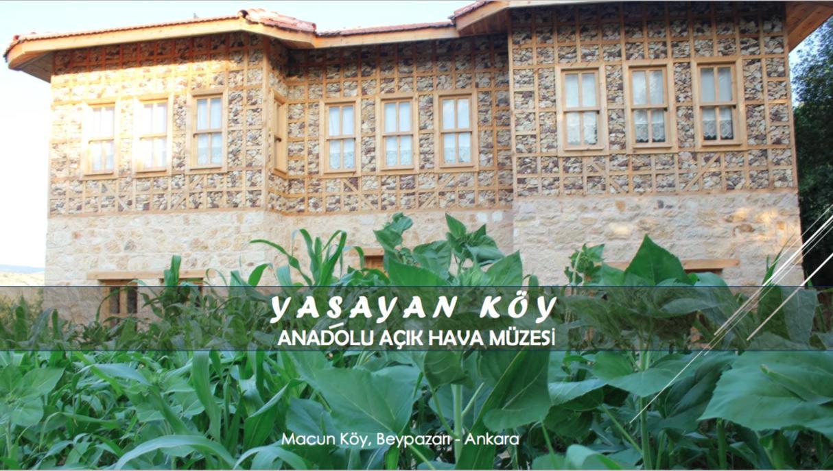 Yasayan Koy Hotel Kizilcasogut Zewnętrze zdjęcie