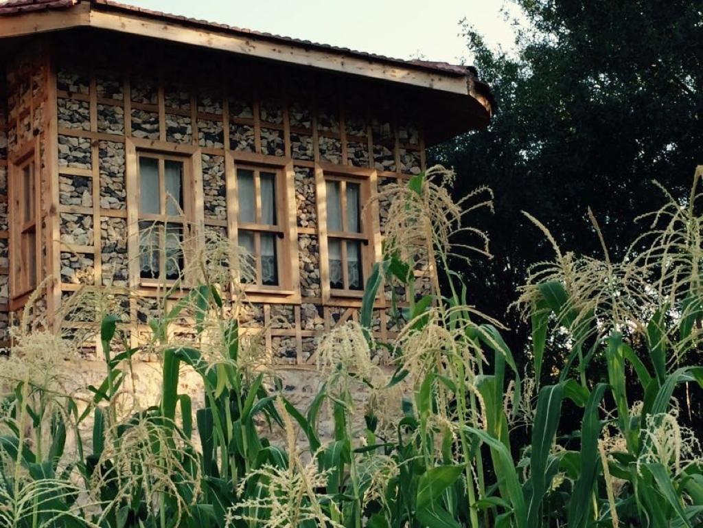 Yasayan Koy Hotel Kizilcasogut Zewnętrze zdjęcie