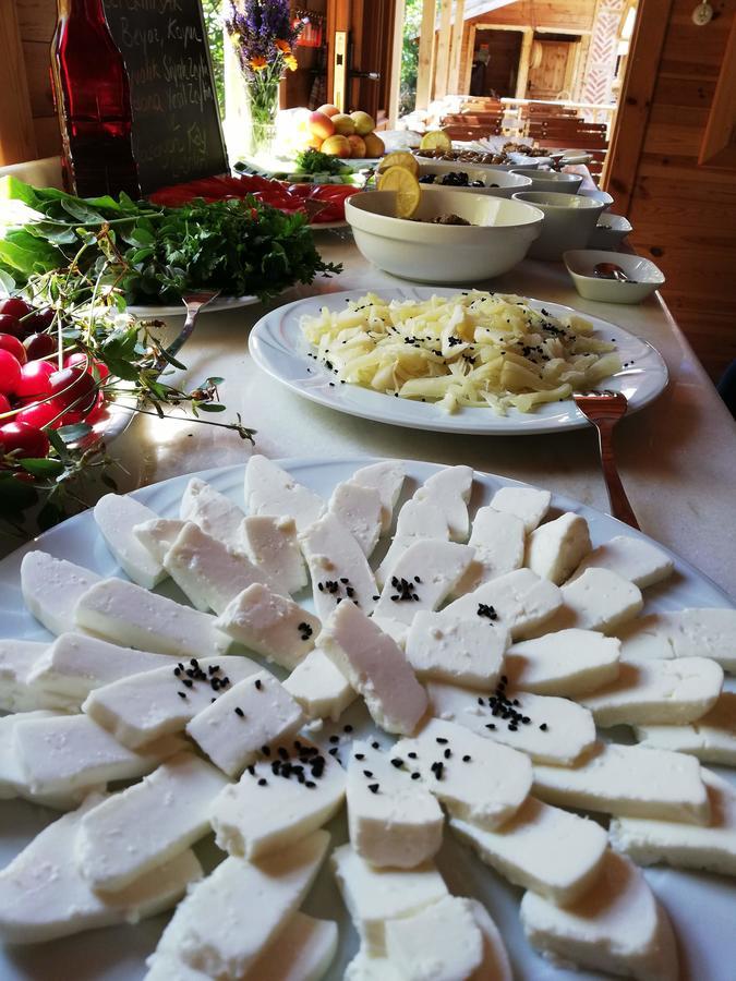 Yasayan Koy Hotel Kizilcasogut Zewnętrze zdjęcie