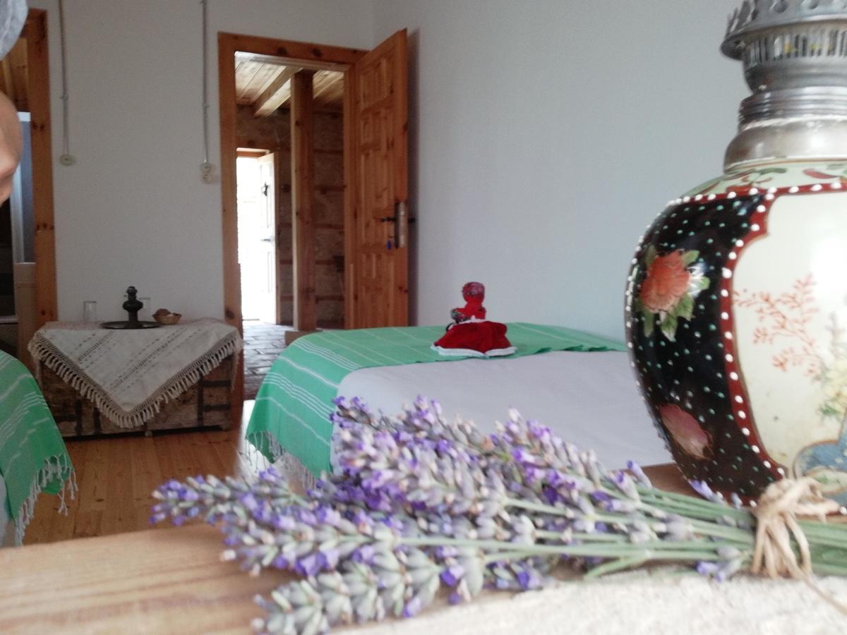 Yasayan Koy Hotel Kizilcasogut Zewnętrze zdjęcie
